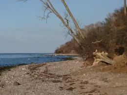 Ostsee (Warnkenhagen)-2