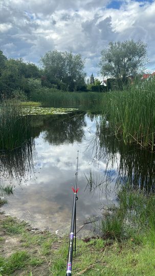 Dorfteich (Hirschfelde)