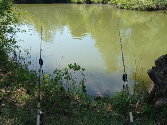 Kiessee Nasgenstadt-0