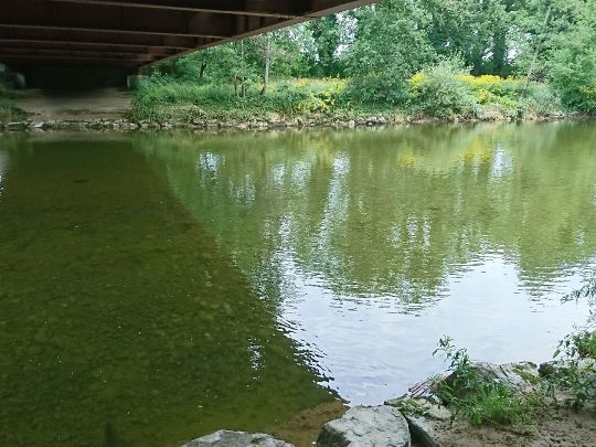 Argen (Laimnau)-2