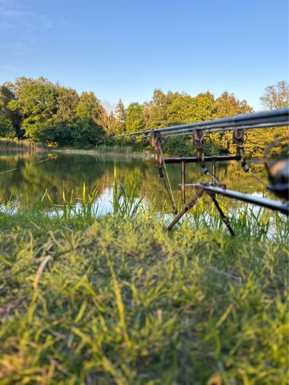 Bürgerteich (Bischofswerda)-1