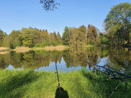 Bürgerteich (Bischofswerda)-4