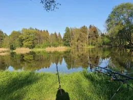 Bürgerteich (Bischofswerda)-4