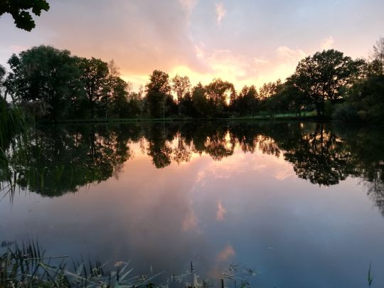 Bürgerteich (Bischofswerda)-2