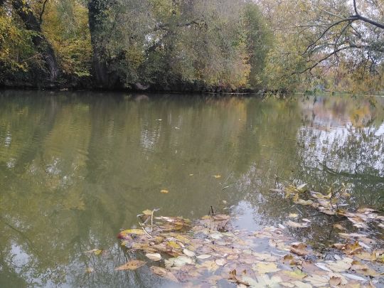 Freienwalder Landgraben-1