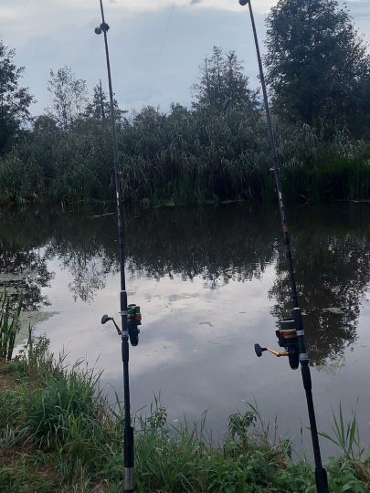 Wörnitz (Weiltingen)-0