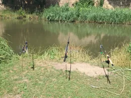 Teich am Burggraben (Erxleben)-1