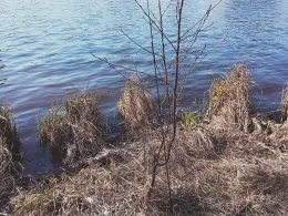 Nikolassee (Berlin-Zehlendorf)-1