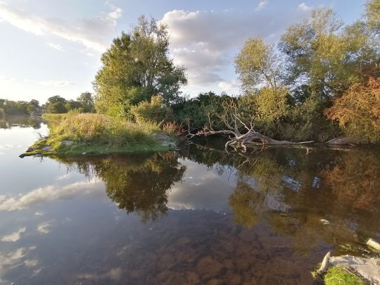 Leine-Altarm Calenberg