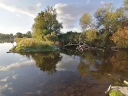 Leine-Altarm Calenberg