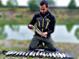 Étang sans Souci (Neuf-Brisach)