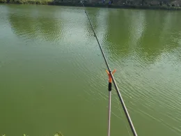 Étang sans Souci (Neuf-Brisach)-1