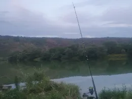 Mosel (Kröv-Wolf)-1