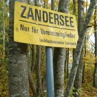 Zandersee (Binswangen)