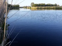 Ems-Jade-Kanal (Emden)