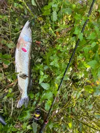 Rott (Eggenfelden)-4