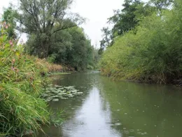 Rott (Eggenfelden)-3