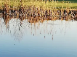 Rott (Eggenfelden)-1