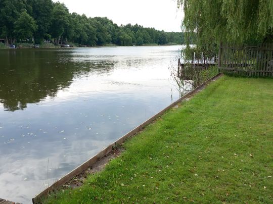 Tetzensee (Alt Ruppin)-1