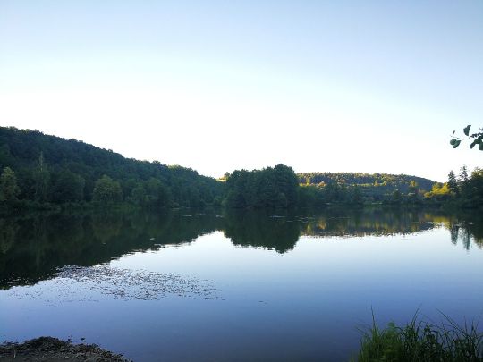 California Weiher (Burglengenfeld)-1