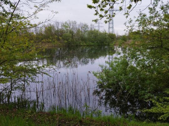 Hoffnung-Seen (Haurup)-2