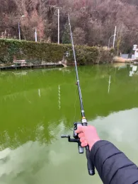 Fischzucht Brünner (Esslingen/Neckar)-2