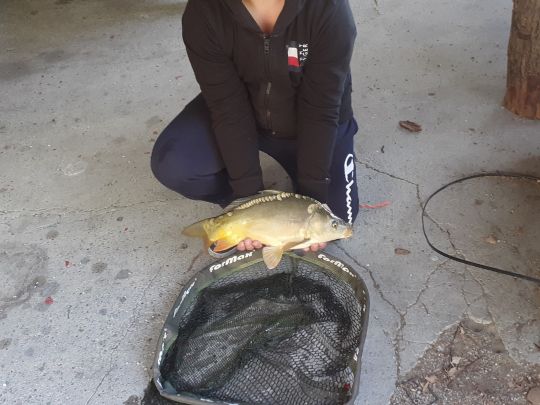 Fischzucht Brünner (Esslingen/Neckar)-1