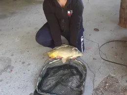 Fischzucht Brünner (Esslingen/Neckar)-1