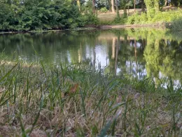 Westenquolls (Brachstedt)-2