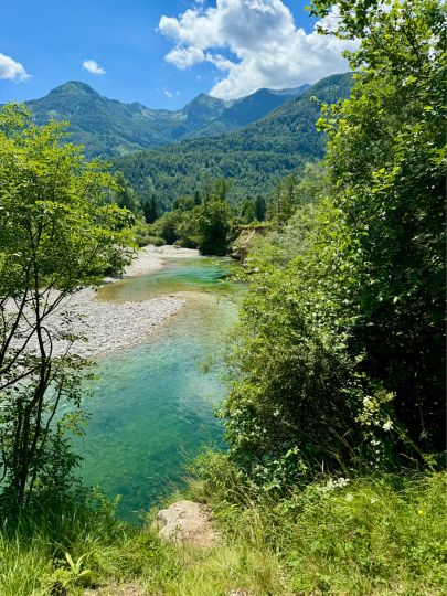 Sava Bohinka (Bohinjska Bistrica)-2