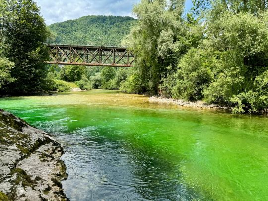 Sava Bohinka (Bohinjska Bistrica)-1