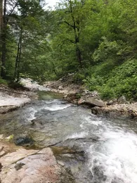 Taurach (Untertauern)-3