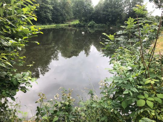 Angelweiher Camping Kontiki-1