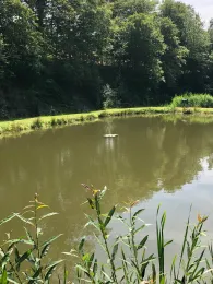 Angelweiher Camping Kontiki-2