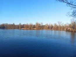 Korbgrundsee (Müllersee)