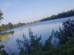 Baggerkuhle Niebüll-2