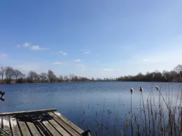 Baggerkuhle Niebüll-1