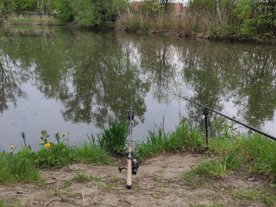 Kronteich (Freiberg)