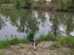 Kronteich (Freiberg)