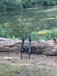 Kronteich (Freiberg)-3