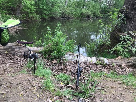 Kronteich (Freiberg)-1