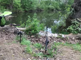 Kronteich (Freiberg)-1