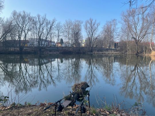 Kronteich (Freiberg)-2