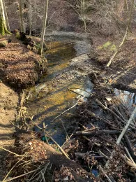 Starzenbach (Possenhofen)