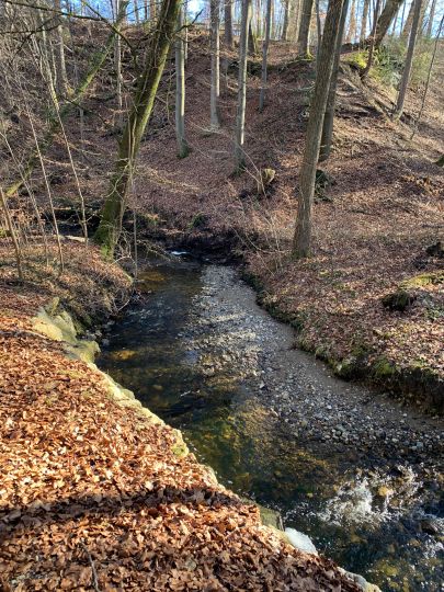 Starzenbach (Possenhofen)-2