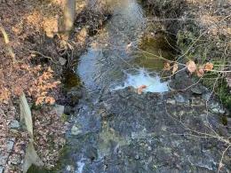 Starzenbach (Possenhofen)-0