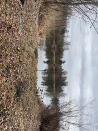 Großer Stadtweiher (Mauern)-2