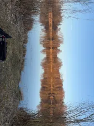 Großer Stadtweiher (Mauern)-3