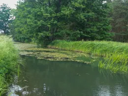 Buckau (Wendgräben)