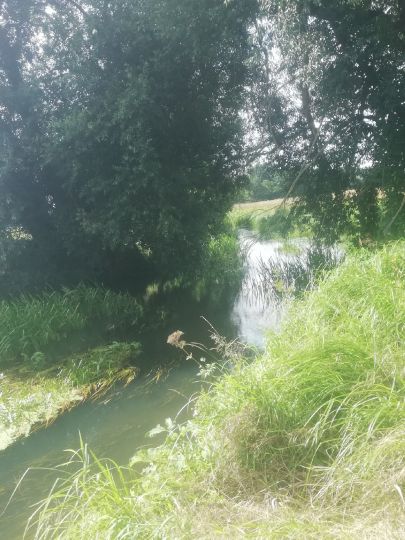 Buckau (Wendgräben)-2